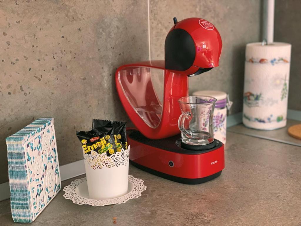 Apartament Smiley Διαμέρισμα Σιγκισοάρα Εξωτερικό φωτογραφία