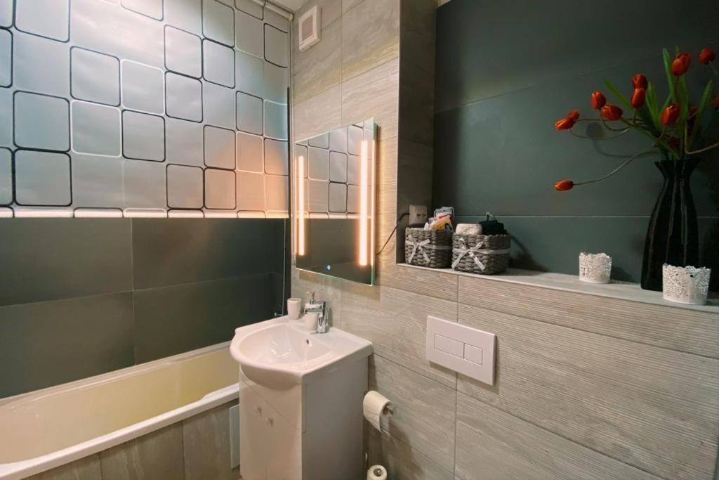 Apartament Smiley Διαμέρισμα Σιγκισοάρα Εξωτερικό φωτογραφία