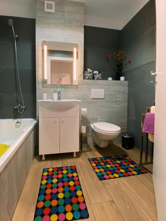 Apartament Smiley Διαμέρισμα Σιγκισοάρα Εξωτερικό φωτογραφία